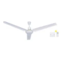 Remote ceiling fan