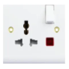 Switched multi socket